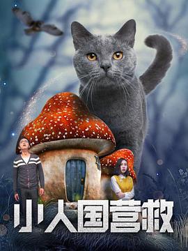 美女露胸的视频